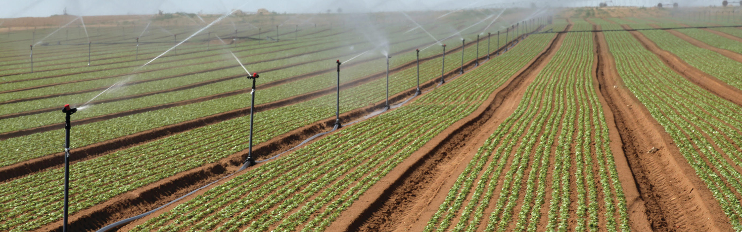 Jain Irrigation Systems Ltd.